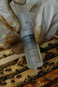 Aplikace přípravku